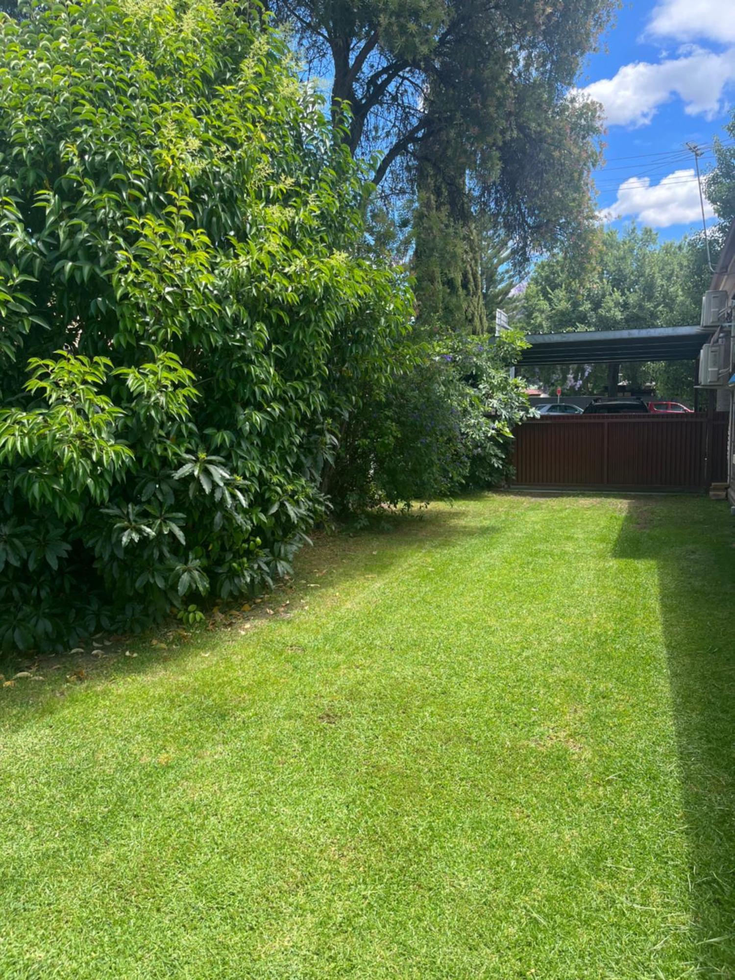 Somerby! Modern Character Property! Cbd,Pets,Park Albury Exterior photo